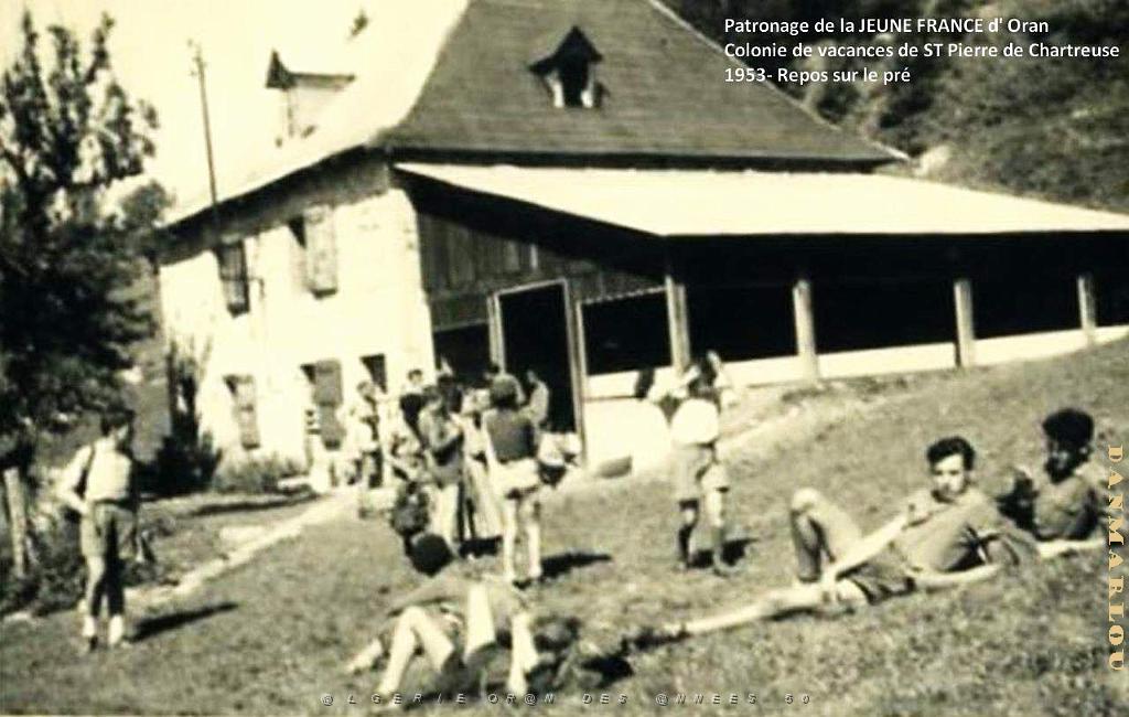 COLO JEUNE FRANCE 1953 repos sur le pre avant le repas.jpg
